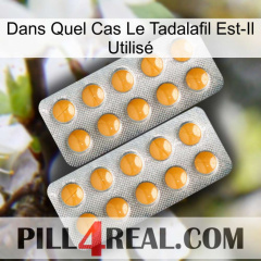 Dans Quel Cas Le Tadalafil Est-Il Utilisé levitra2